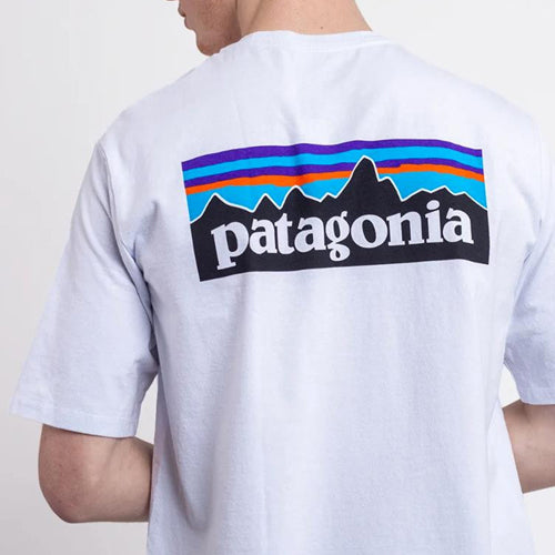 (국내배송) 파타고니아 베이직 반팔 티셔츠 ~5Color~